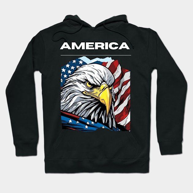 America flags with eagle graphic design Hoodie by Nasromaystro